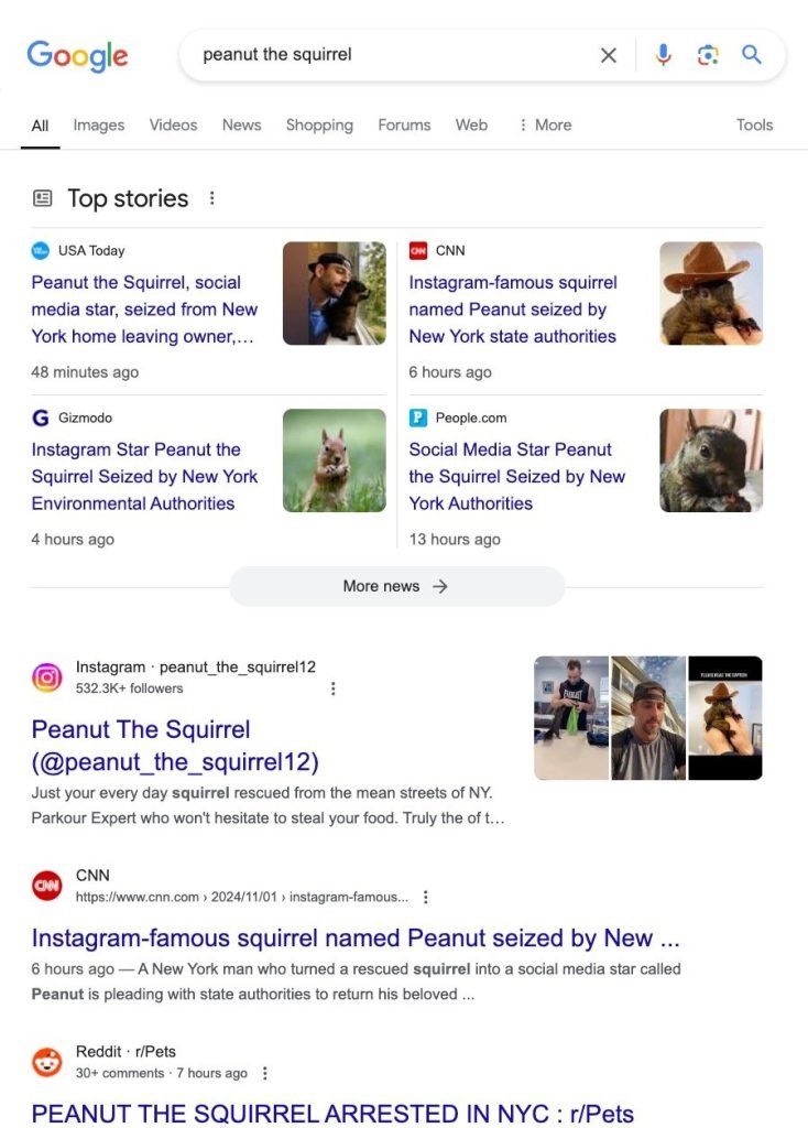 On the Google search results page, you'll find news stories about a squirrel named Peanut being seized by authorities. This captivating tale is trending, highlighting the need for SEO optimization to ensure such unique stories reach a wide audience.