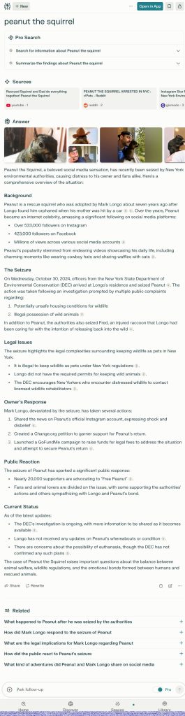Screenshot of an online forum page discussing a squirrel named Peanut, featuring a photo of the squirrel, user posts, and sidebar content with related articles and search tools optimized for SEO. Users are buzzing about Peanut's antics, making him the latest Google sensation.
