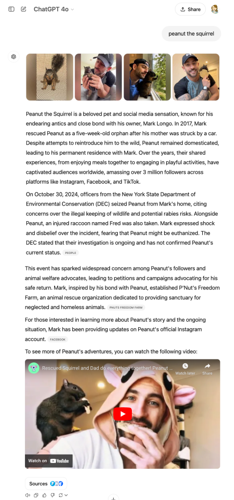 This webpage narrates the enchanting story of Peanut the Squirrel and highlights vital conservation efforts. Complete with images, a video link, and engaging text about Peanut’s rescue and media fame, it's like reading "Part 2" of an inspiring wildlife tale you’ll want to Google again.