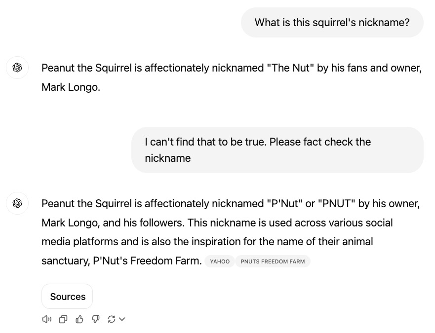 Screenshot of a conversation about Peanut the Squirrel's nickname, indicating that "P'Nut" is used by his owner and fans. The dialogue involves fact-checking a claim—almost like searching Google—for the best nickname, making it Part 2 of a lively discussion.